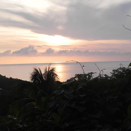 Villa Mielecajou, Entre Mer Et Montagne Deshaies Buitenkant foto