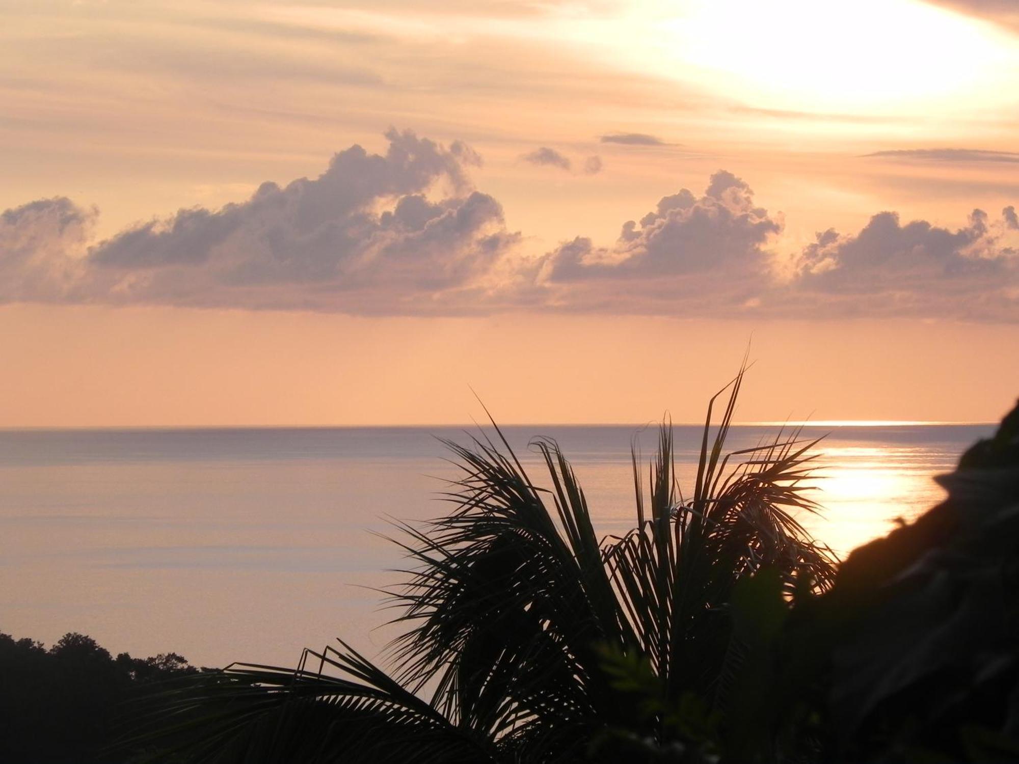Villa Mielecajou, Entre Mer Et Montagne Deshaies Buitenkant foto
