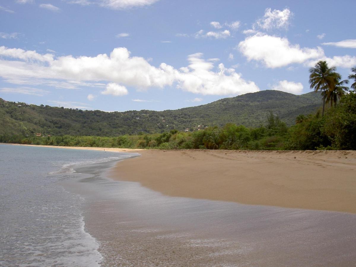 Villa Mielecajou, Entre Mer Et Montagne Deshaies Buitenkant foto